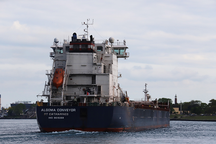 Algoma Conveyor